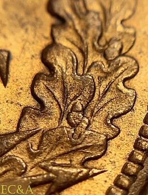 1892 Indian Head penny DDR Snow-4 doubled die reverse close-up showing vein doubling on wreath